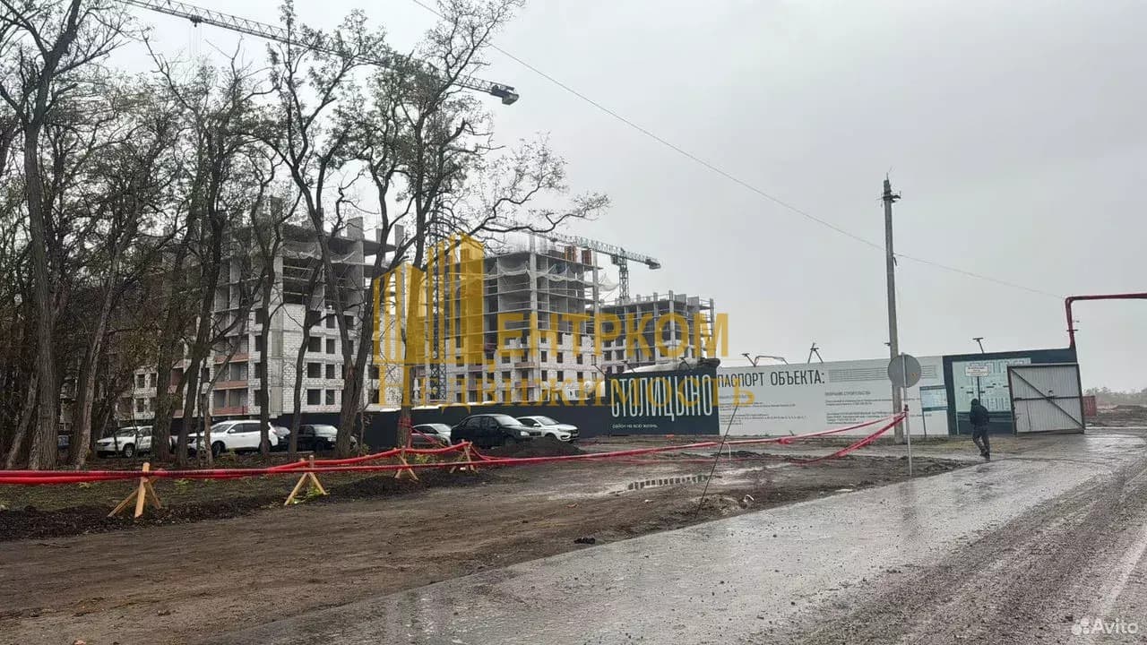 Миниатюра 5