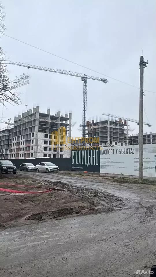 Миниатюра 4
