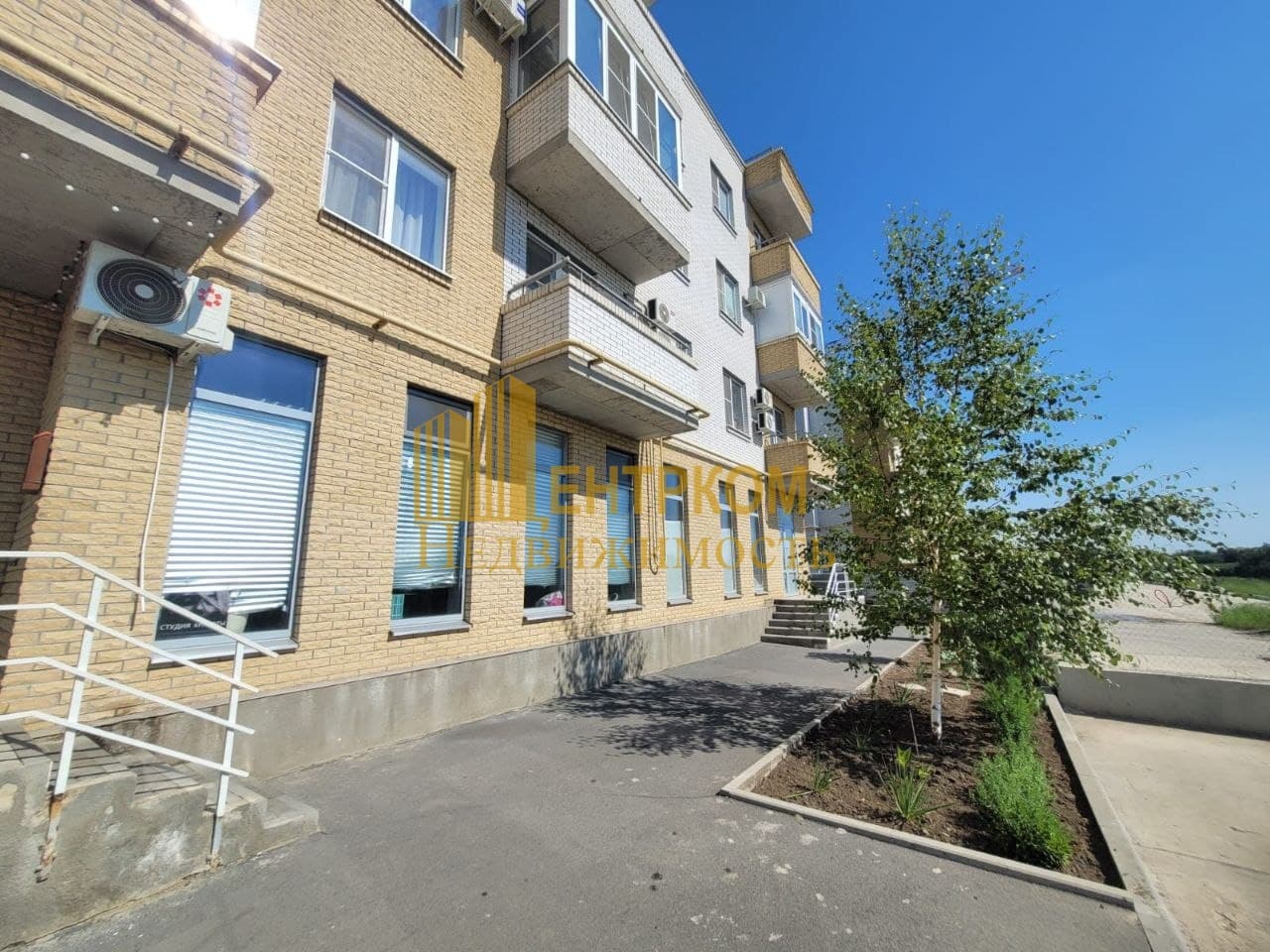 Миниатюра 3